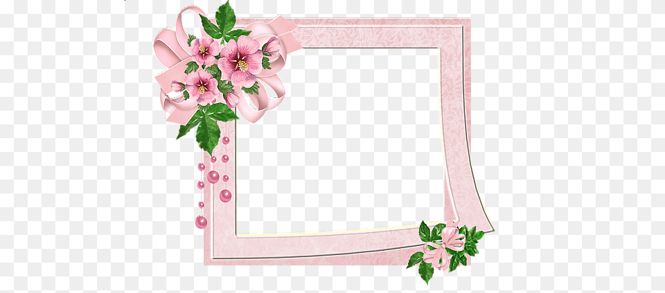 Picture Frame, Flower, Plant, Envelope, Greeting Card Png