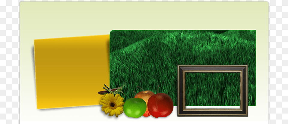 Picture Frame, Apple, Food, Fruit, Plant Png Image