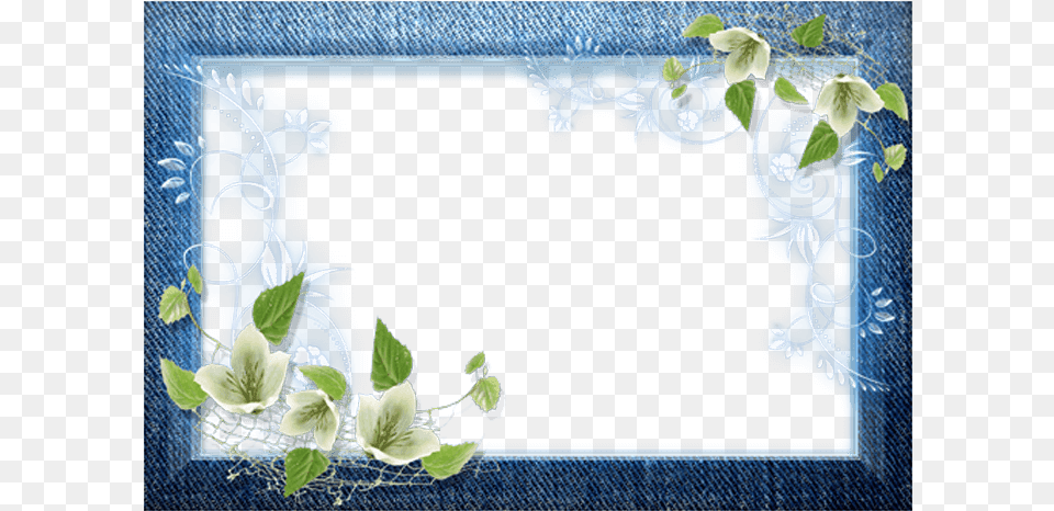 Picture Frame, Leaf, Plant, Art, Floral Design Png
