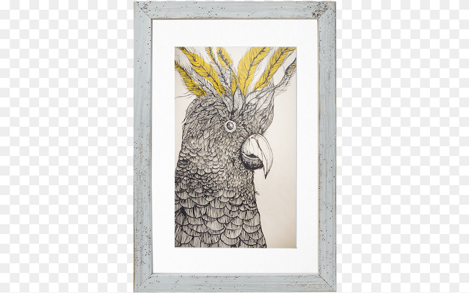 Picture Frame, Art, Animal, Bird, Parrot Free Transparent Png