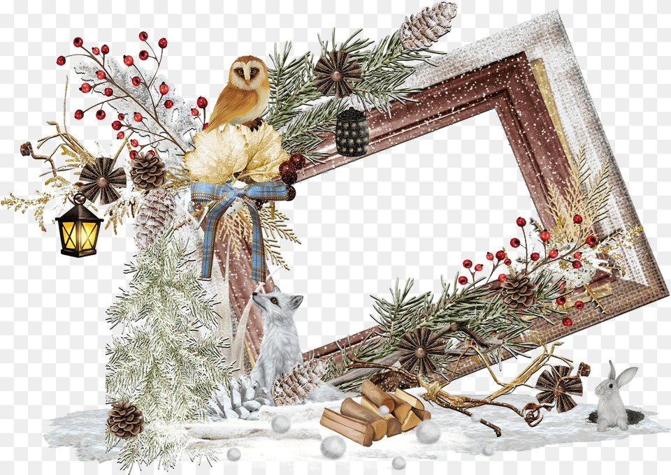 Picture Frame, Animal, Bird, Plant, Tree Png