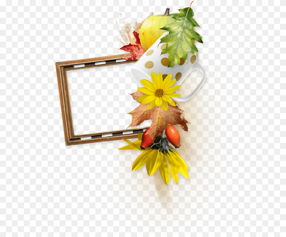 Picture Frame, Leaf, Plant, Flower, Flower Arrangement Free Png Download