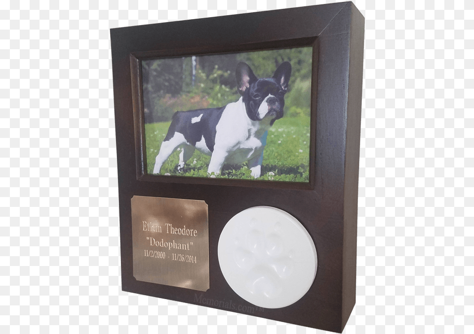 Picture Frame, Animal, Bulldog, Canine, Dog Free Png Download