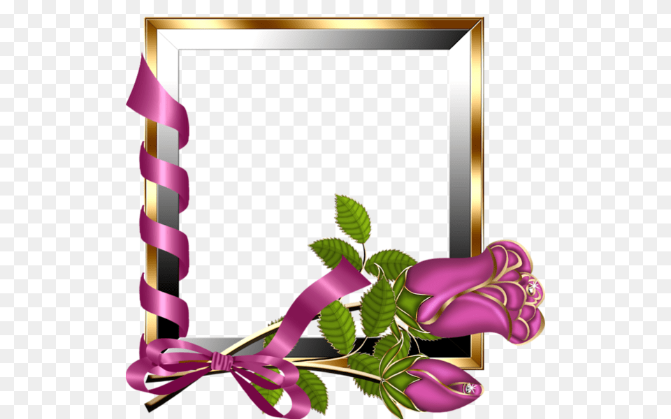 Picture Frame, Purple, Flower, Plant Free Png