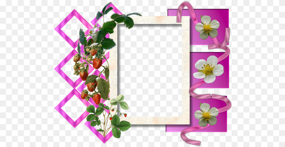 Picture Frame, Envelope, Greeting Card, Mail, Art Png Image