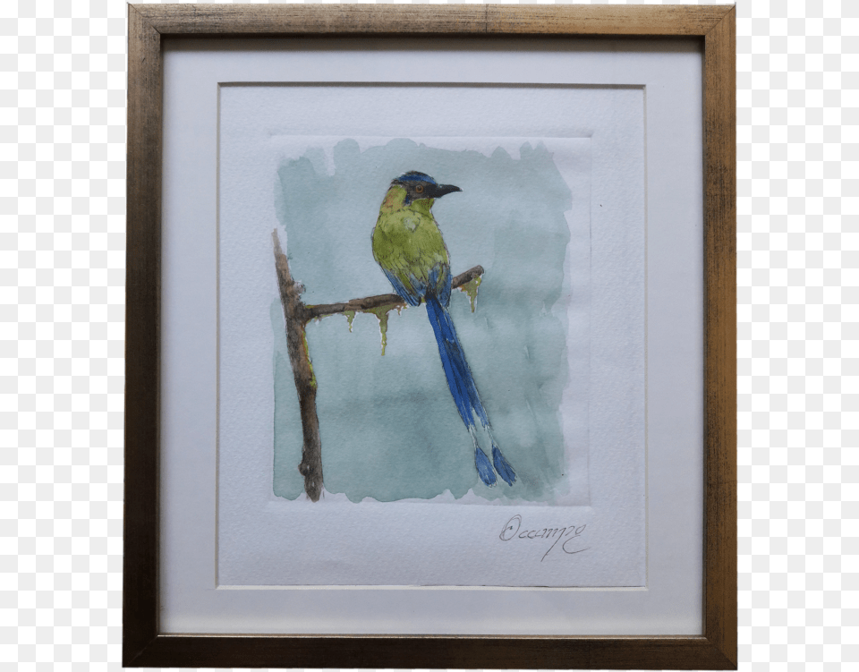 Picture Frame, Animal, Bird, Jay, Bee Eater Free Png