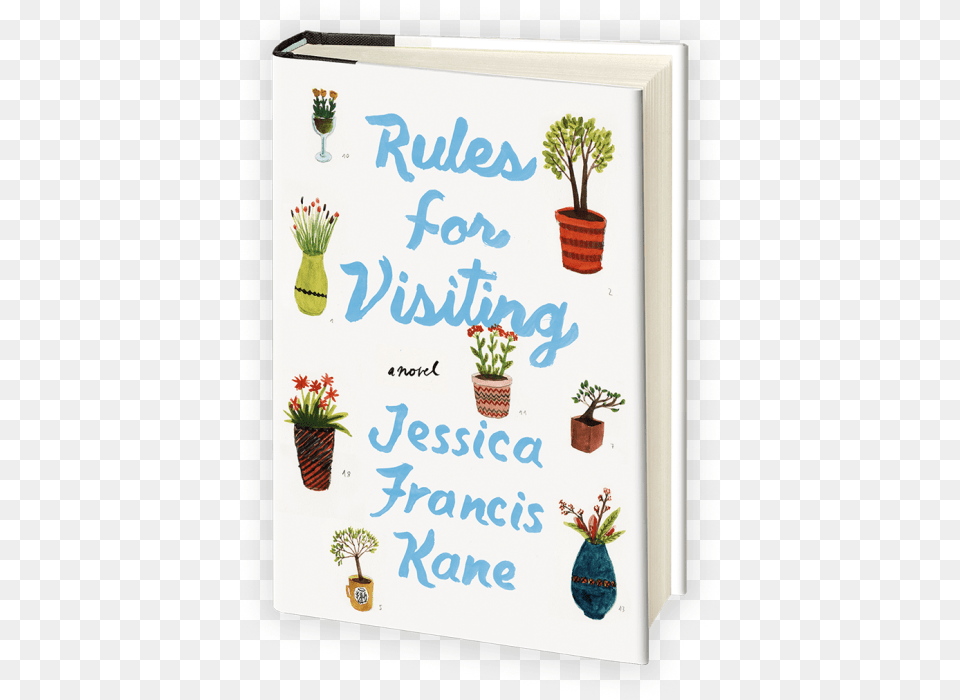Picture Frame, Plant, Potted Plant, Jar, White Board Png