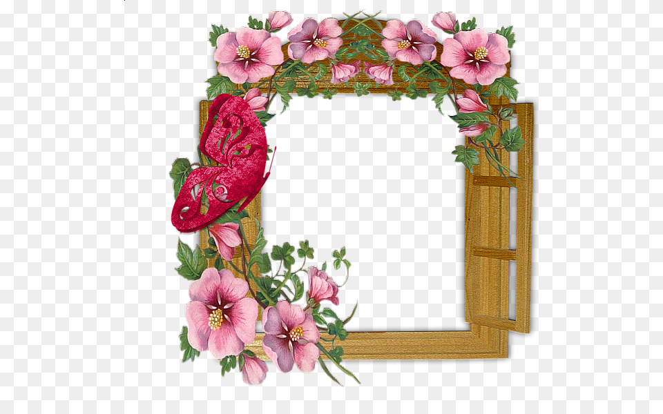 Picture Frame, Flower, Plant, Geranium Png Image