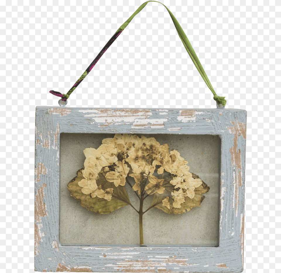 Picture Frame, Accessories, Bag, Handbag, Leaf Png