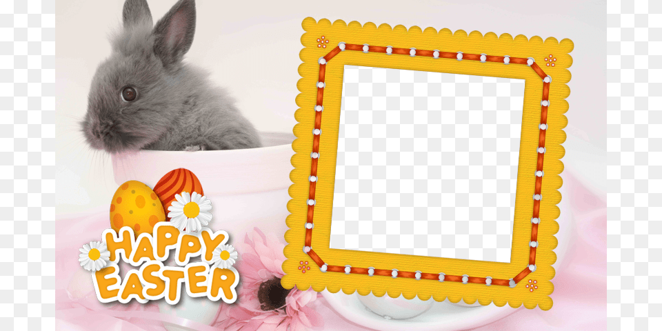 Picture Frame, Animal, Rat, Mammal, Rodent Free Transparent Png