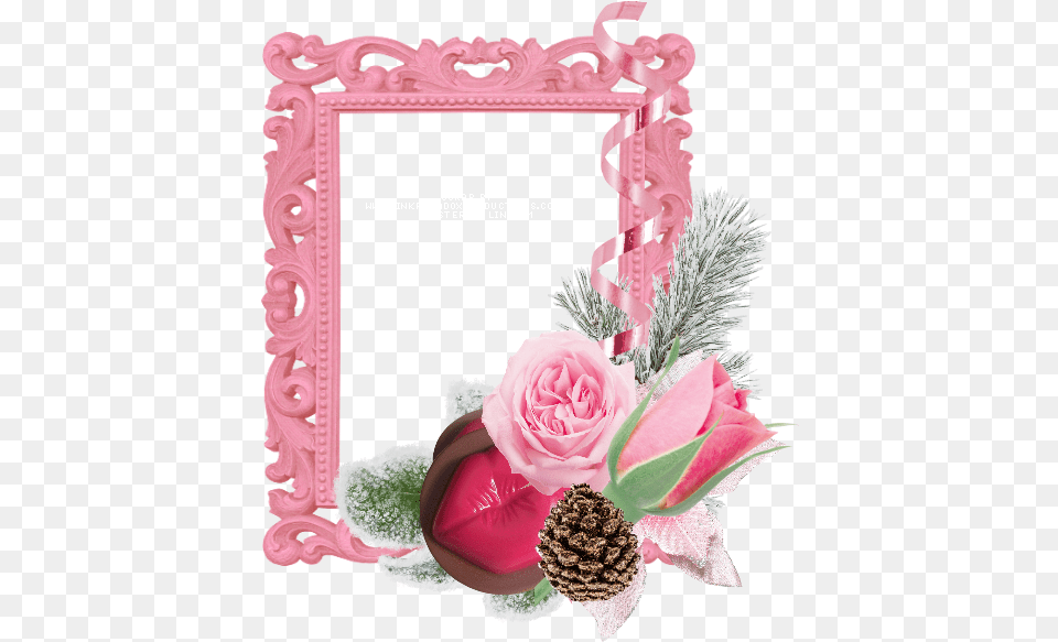 Picture Frame, Flower, Plant, Rose, Art Free Transparent Png