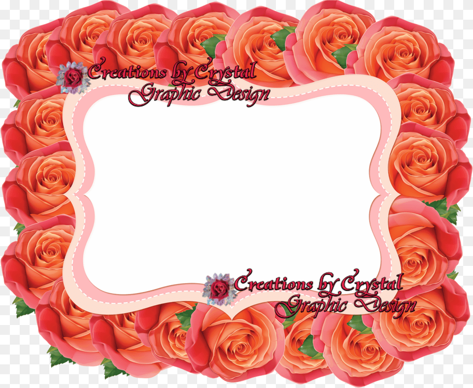 Picture Frame, Rose, Plant, Mail, Greeting Card Png Image
