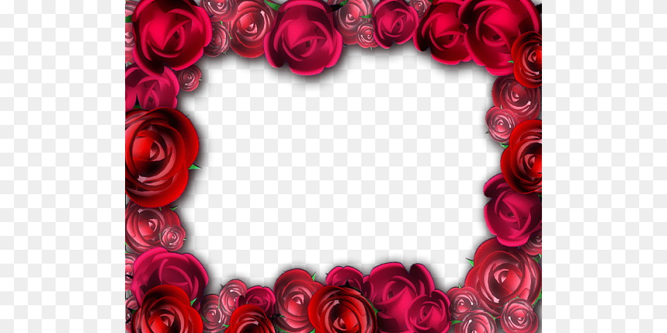 Picture Frame, Rose, Plant, Pattern, Graphics Free Transparent Png