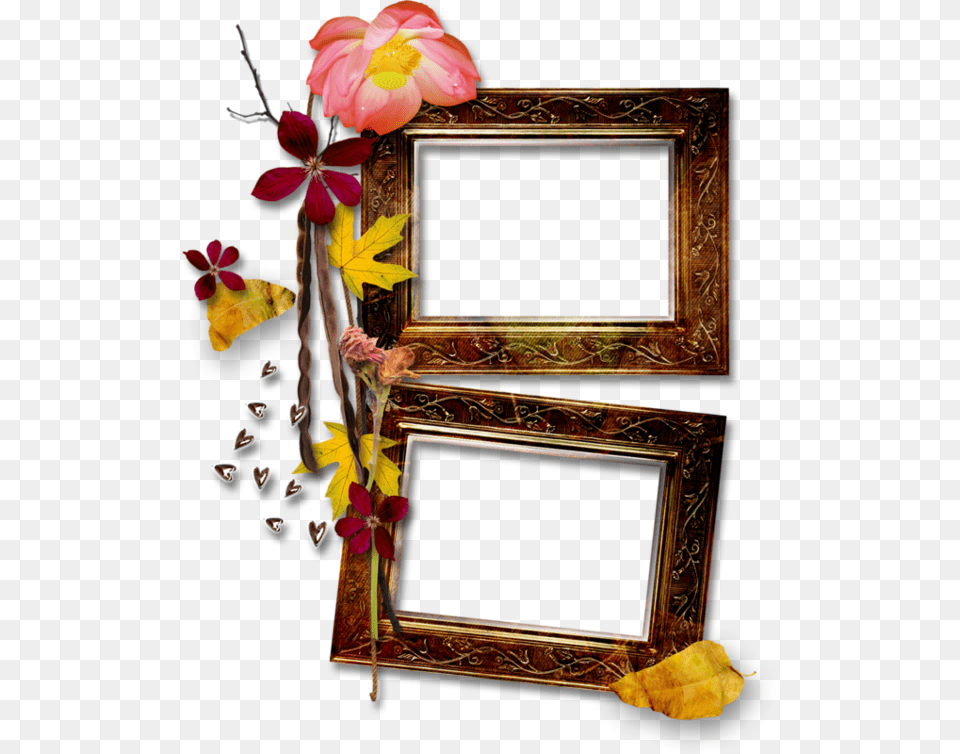 Picture Frame, Flower, Flower Arrangement, Plant, Art Png Image