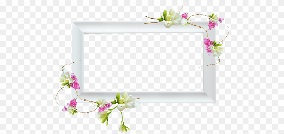 Picture Frame, Flower, Flower Arrangement, Plant, Rose Free Transparent Png