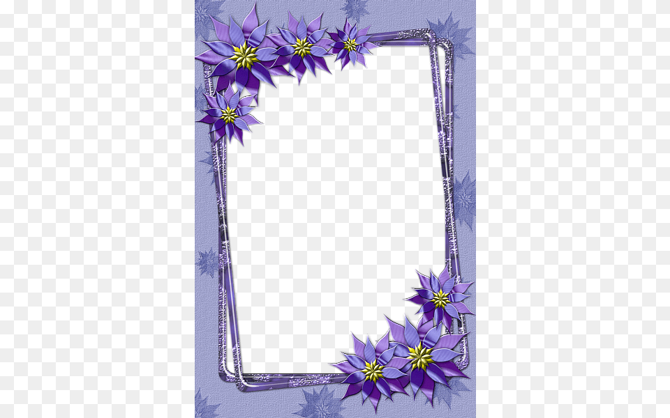 Picture Frame, Purple, Dahlia, Flower, Plant Free Transparent Png