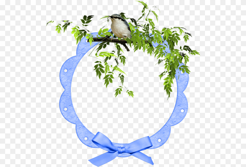 Picture Frame, Leaf, Plant, Animal, Bird Png