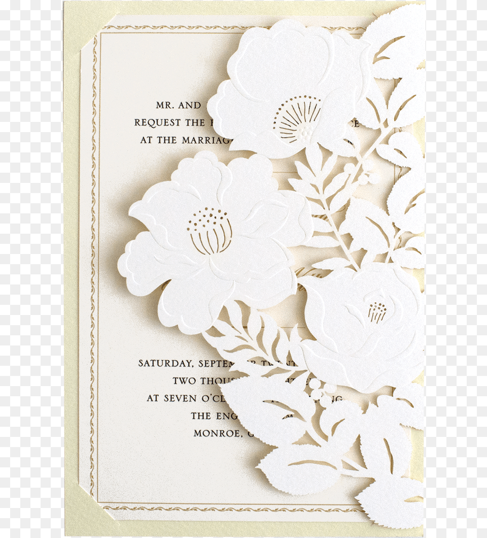 Picture Frame, Text, Page, Mail, Envelope Free Transparent Png