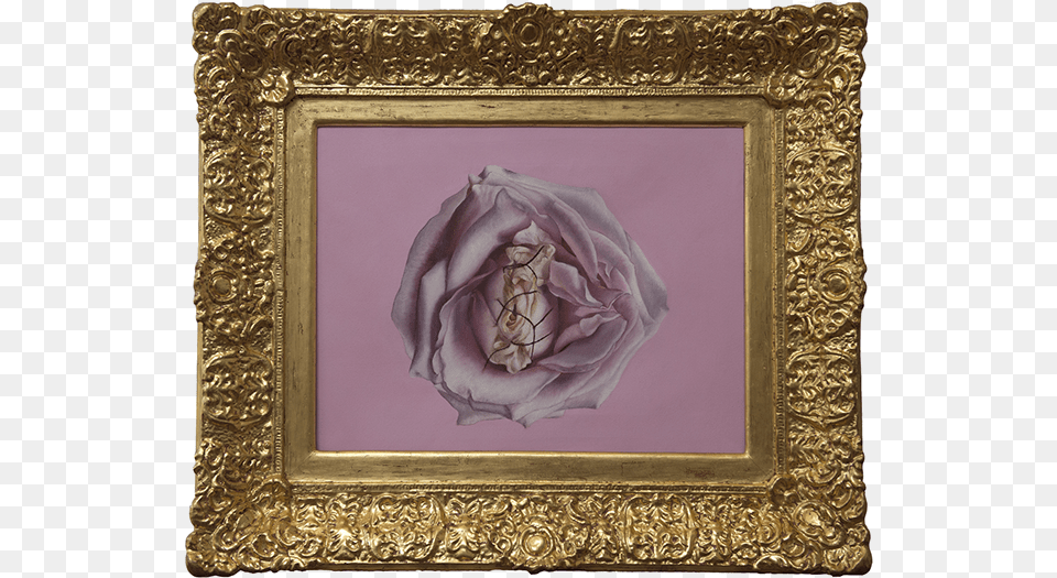 Picture Frame, Art, Painting, Flower, Plant Free Png