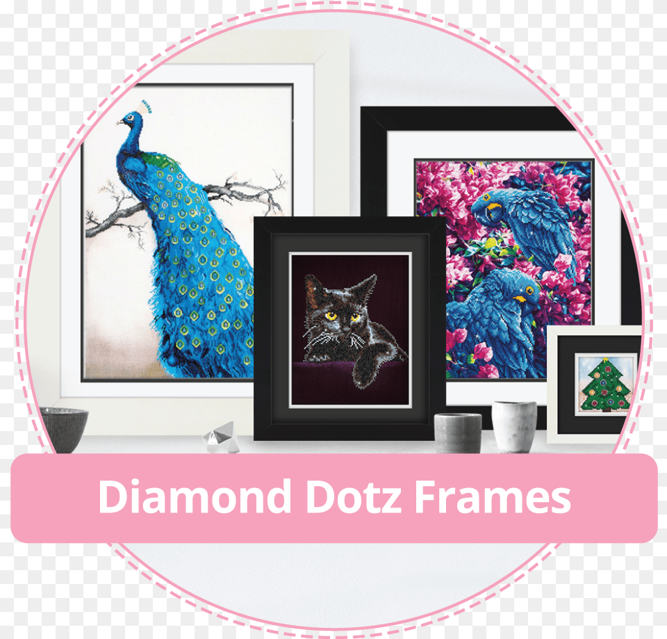 Picture Frame, Animal, Bird, Cat, Mammal Free Png