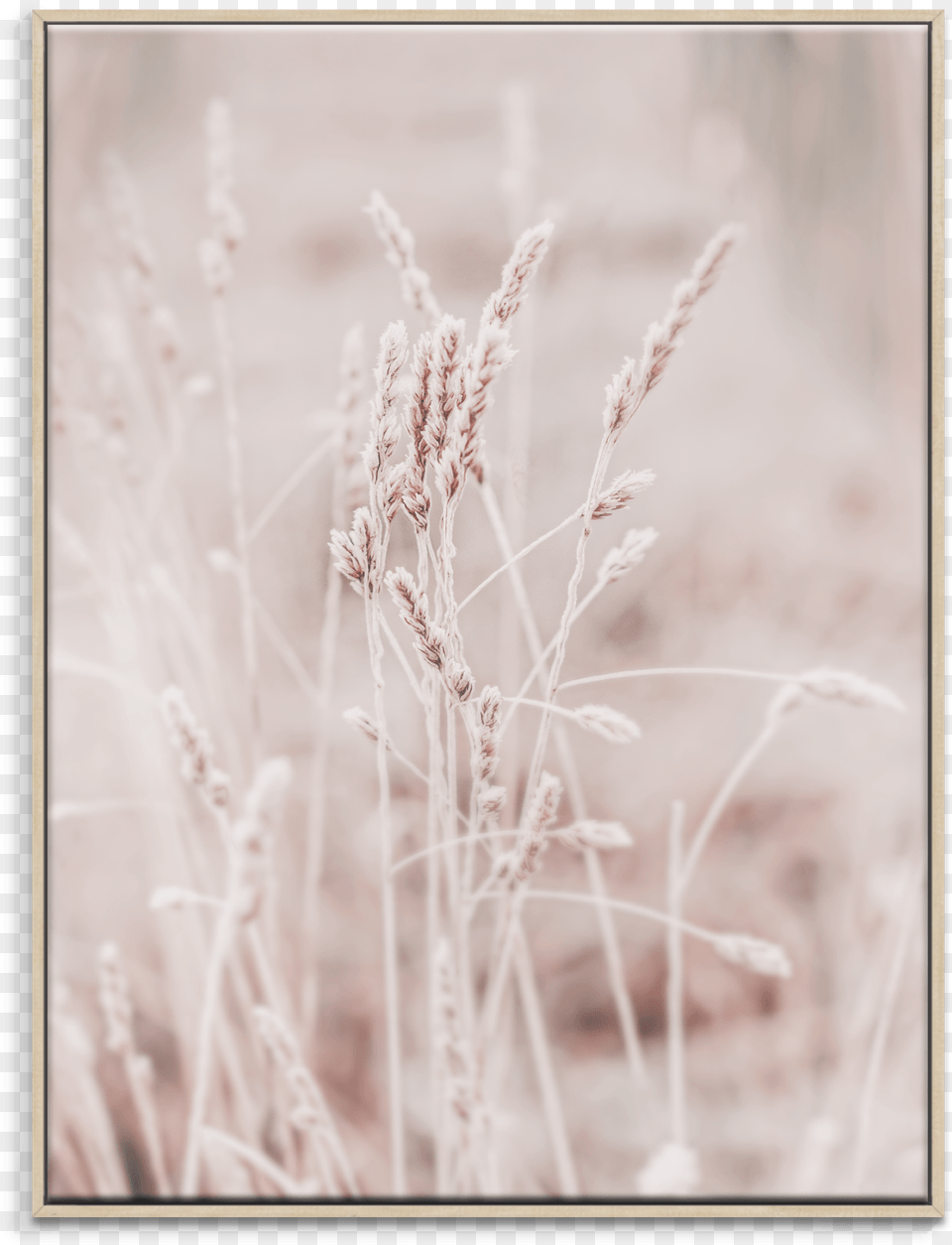 Picture Frame, Ice, Nature, Outdoors, Weather Png Image