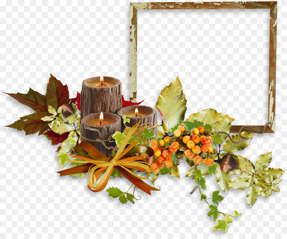 Picture Frame, Plant, Leaf, Flower, Flower Arrangement Png