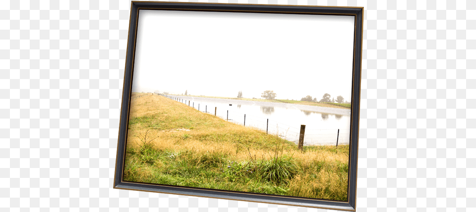 Picture Frame, Scenery, Outdoors, Nature, Plant Png Image