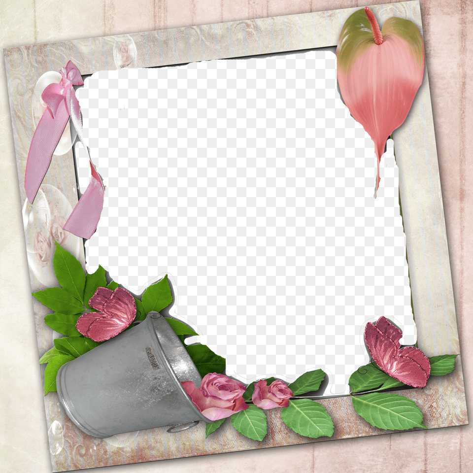 Picture Frame Free Transparent Png