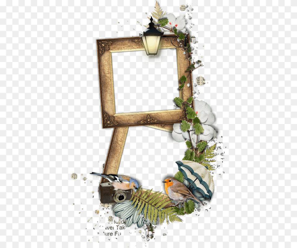 Picture Frame, Art, Collage, Animal, Bird Png Image