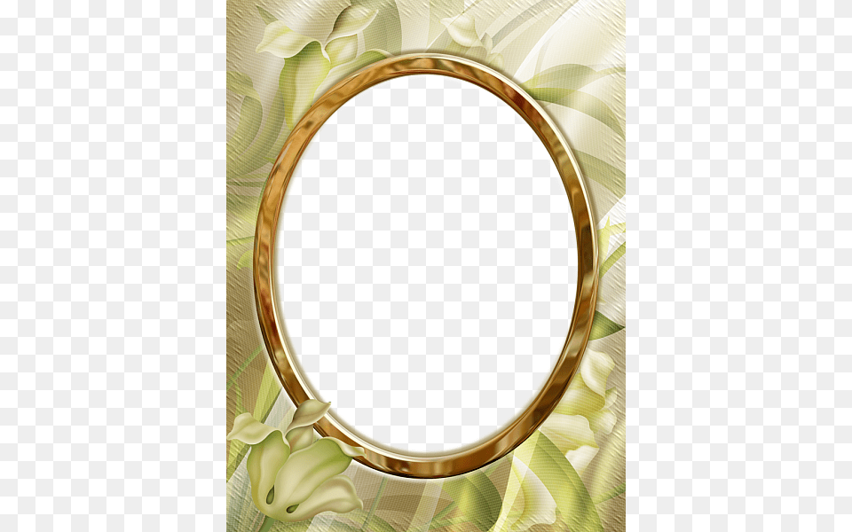 Picture Frame, Photography, Oval Free Transparent Png