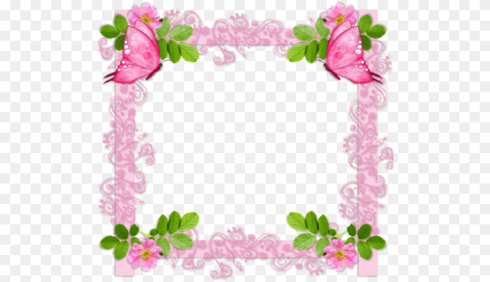 Picture Frame Png