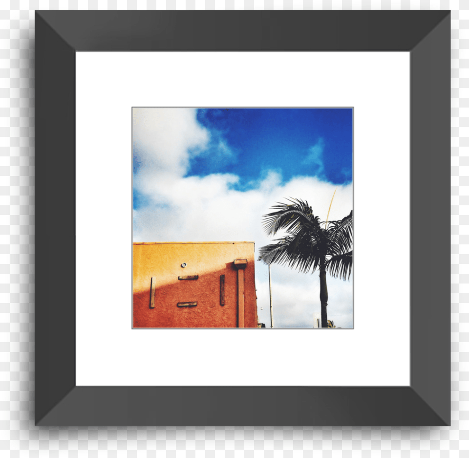Picture Frame, Palm Tree, Plant, Tree, Architecture Png