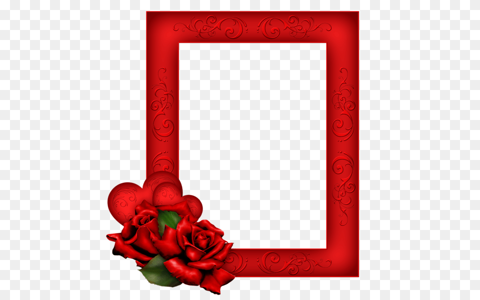 Picture Frame, Flower, Plant, Rose Free Png Download