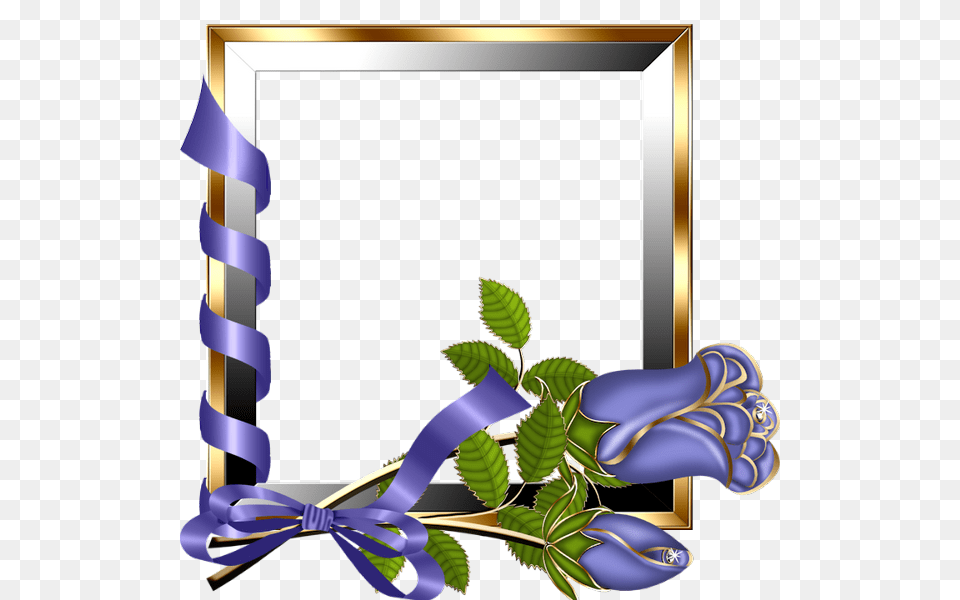 Picture Frame, Purple, Flower, Plant Free Png Download