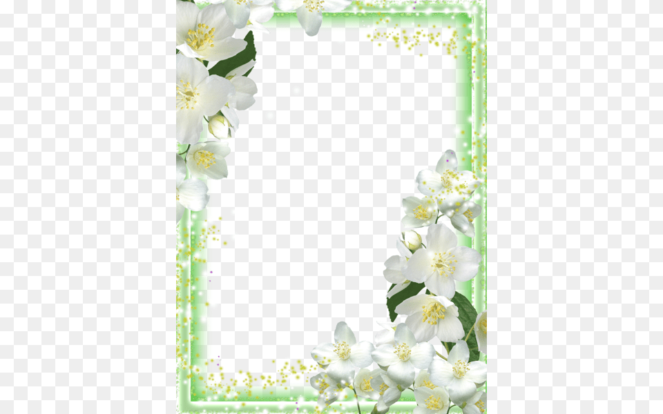 Picture Frame, Anemone, Anther, Plant, Petal Free Png