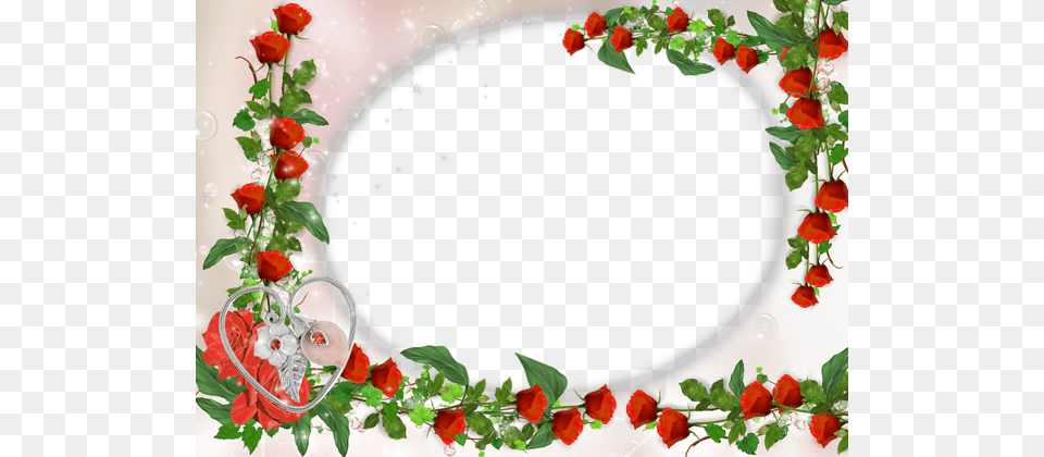 Picture Frame, Rose, Plant, Flower Arrangement, Flower Png