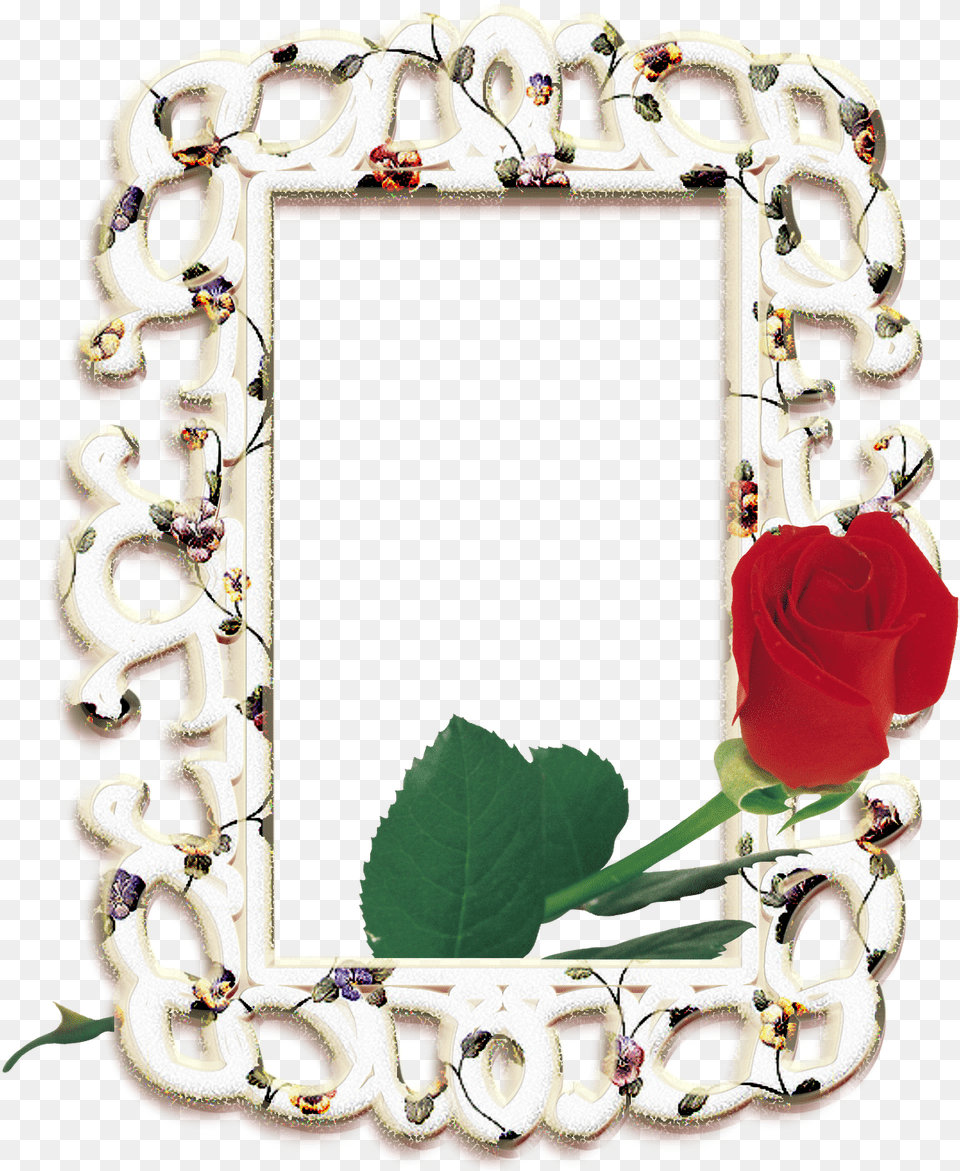 Picture Frame, Flower, Plant, Rose Png