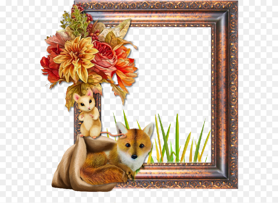 Picture Frame, Flower, Flower Arrangement, Plant, Flower Bouquet Free Transparent Png