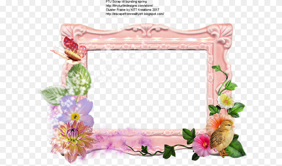 Picture Frame, Animal, Bird, Flower, Plant Png Image