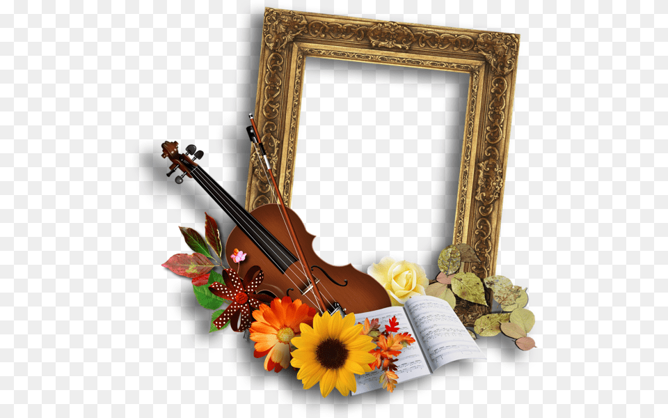 Picture Frame, Flower, Flower Arrangement, Plant, Flower Bouquet Png Image