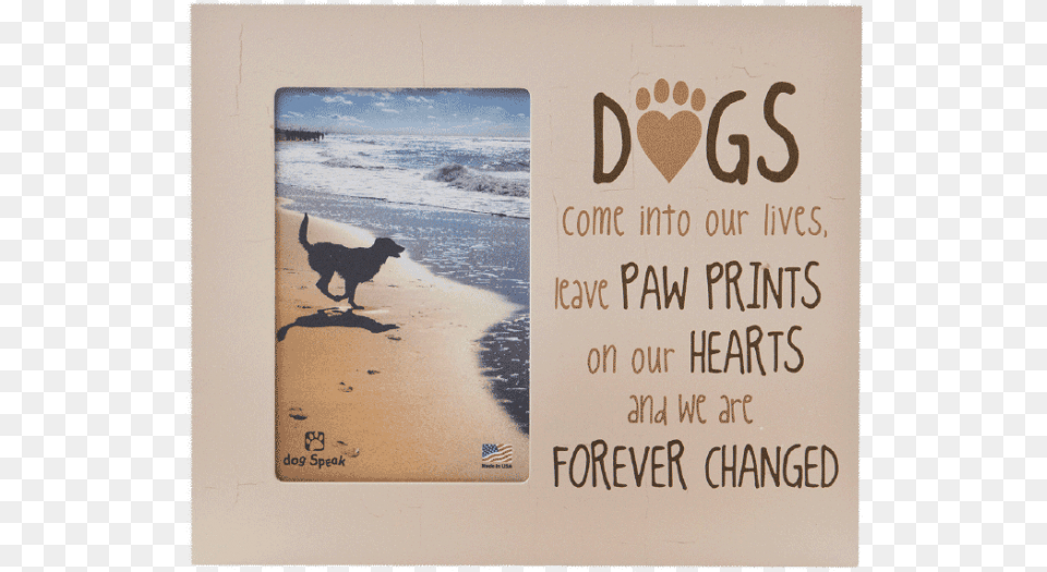 Picture Frame Quotdogs Come Into Our Lives Leave Paw Memorial Pet Picture Frame, Mail, Envelope, Animal, Mammal Free Png