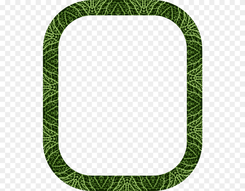 Picture Frames Green, Home Decor, Leaf, Plant, Oval Free Png Download