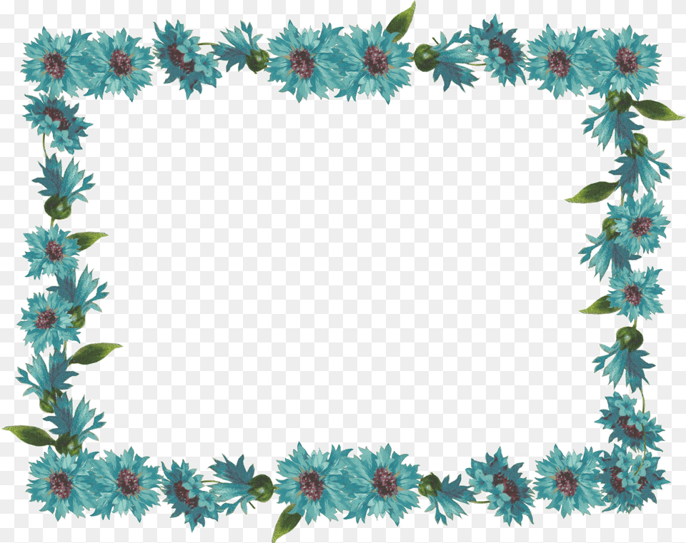 Picture Frames With Simple Borders Download Blue Green Border Download Hd, Plant, Flower, Pattern, Turquoise Png