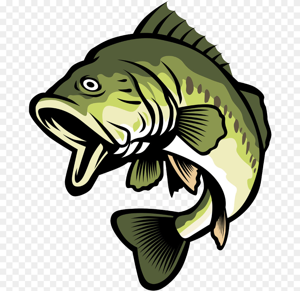 Picture Freeuse Library Bass Fish Clipart Bass Clipart, Animal, Sea Life, Cod, Baby Free Png