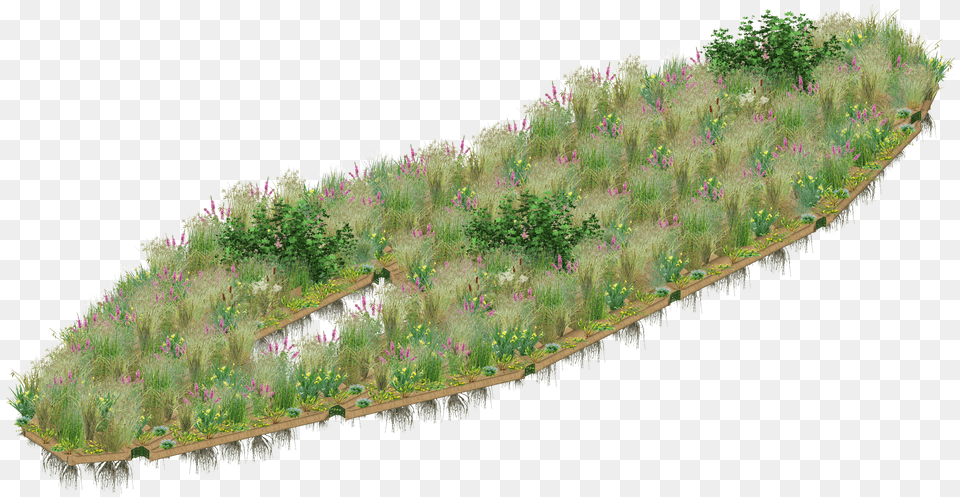 Picture Grass, Woodland, Water, Vegetation, Tree Free Transparent Png