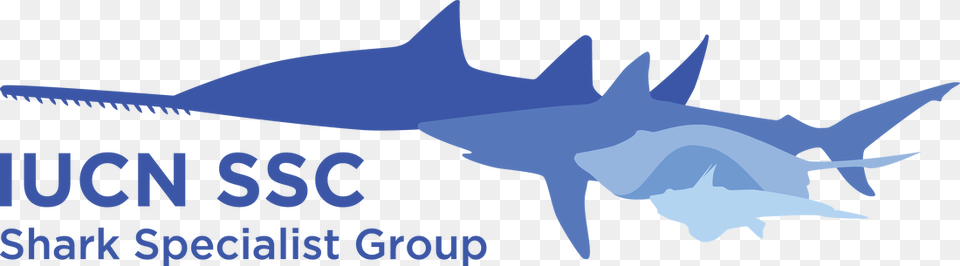 Picture Iucn Shark Specialist Group, Animal, Sea Life, Fish Png Image