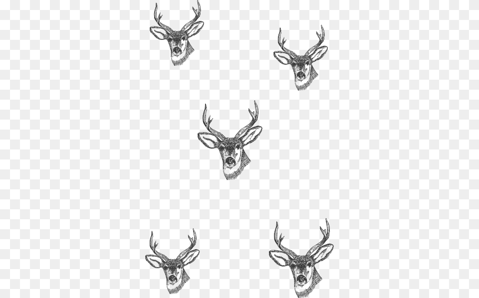 Picture Library Deer Heads Small Clip Art Small Deer Head Drawing, Animal, Antler, Mammal, Wildlife Free Png Download