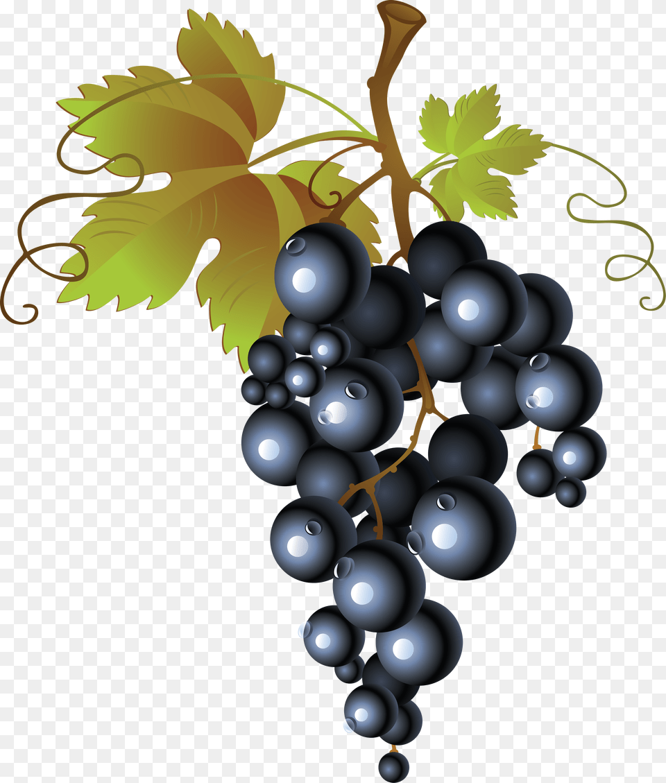 Picture Library Library Grape Image Picture Grapes Clipart No Background, Food, Fruit, Plant, Produce Free Png