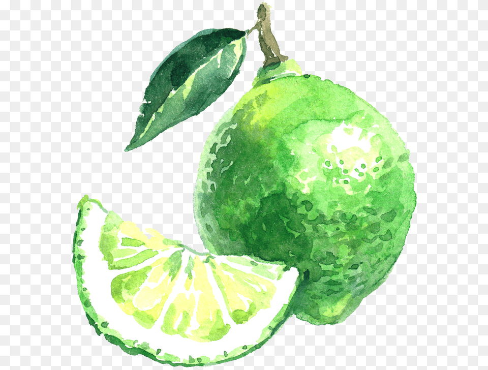 Picture Lime, Citrus Fruit, Food, Fruit, Plant Free Transparent Png