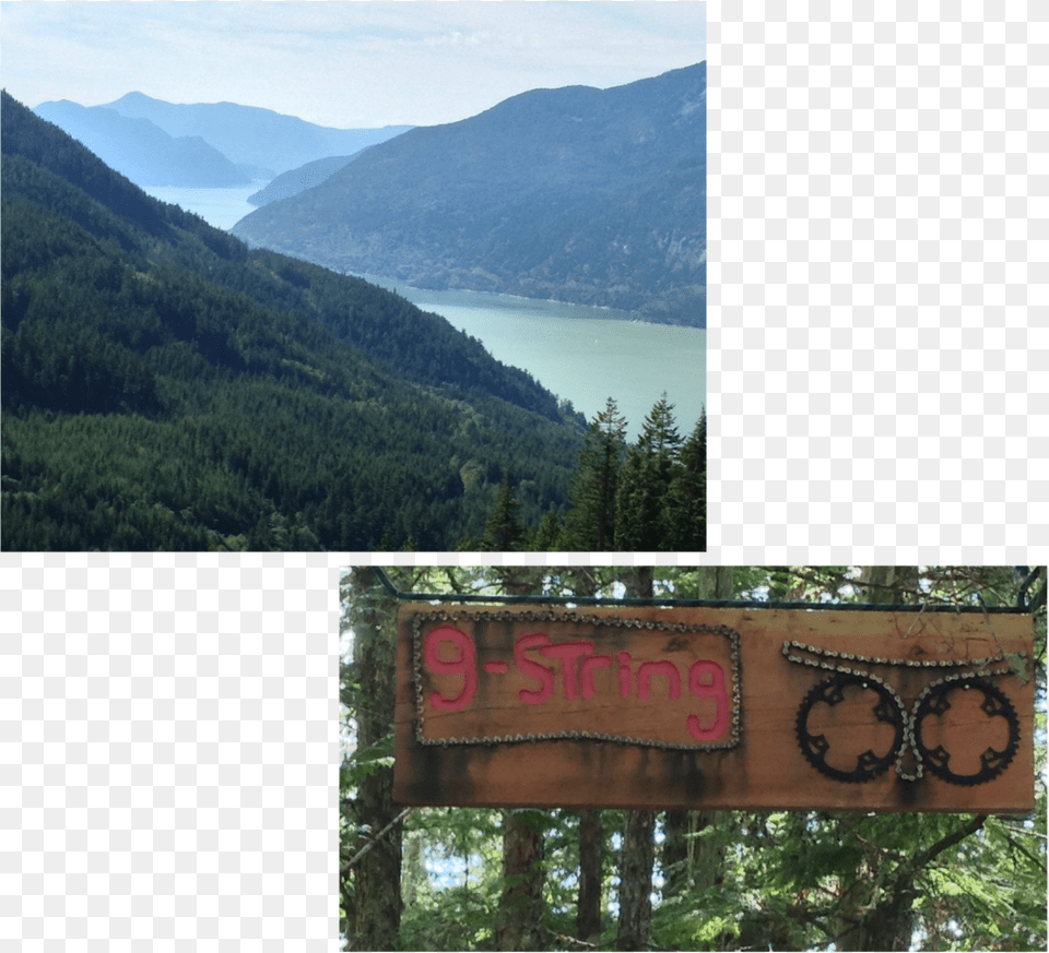 Picture Mount Scenery, Woodland, Rainforest, Outdoors, Nature Free Transparent Png